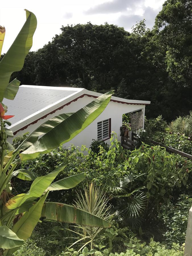 Les Gites De Casita By Kreyol Animal Grand-Bourg  Kültér fotó